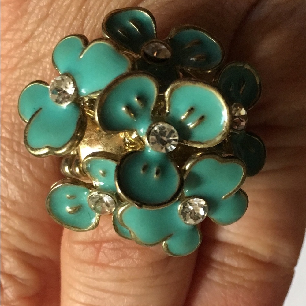 NWT..Lucky Star Jewels Ring